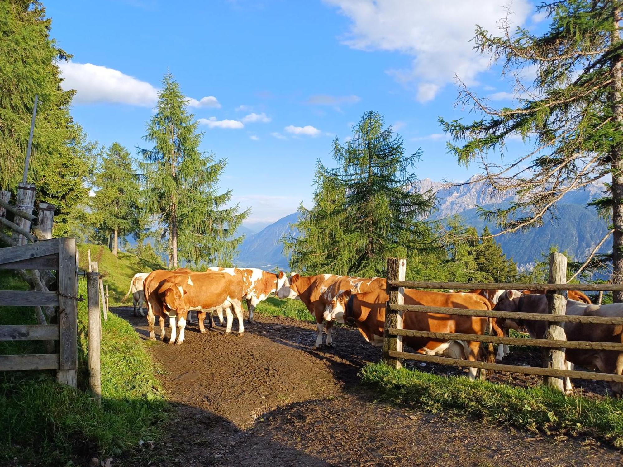 Ferienwohnung Unterniggleralm Thurn Exterior foto