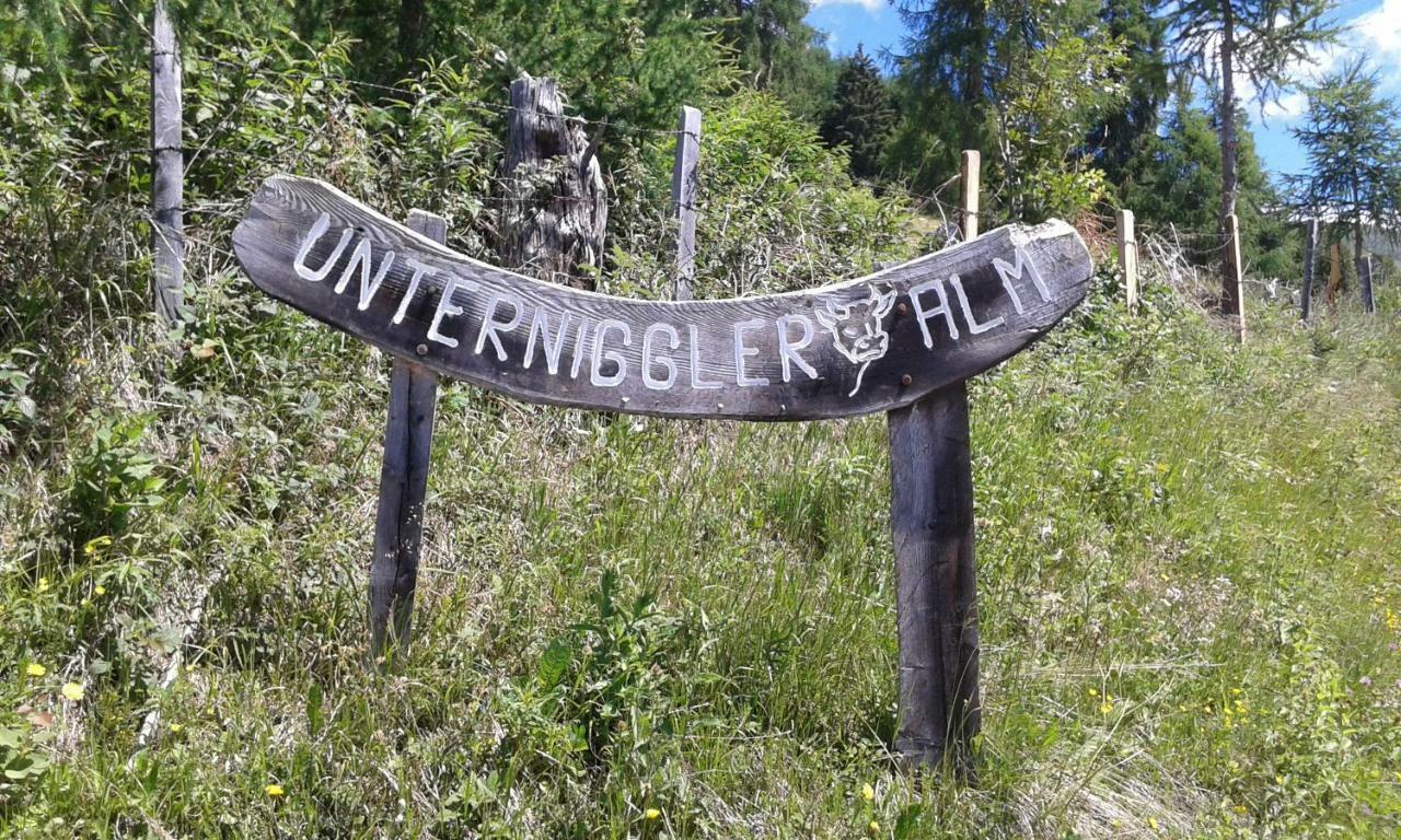 Ferienwohnung Unterniggleralm Thurn Exterior foto
