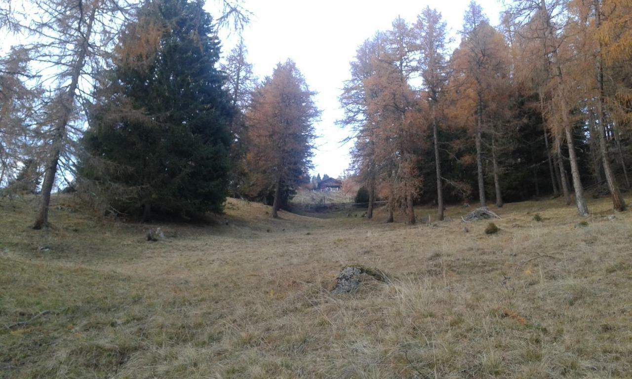 Ferienwohnung Unterniggleralm Thurn Exterior foto